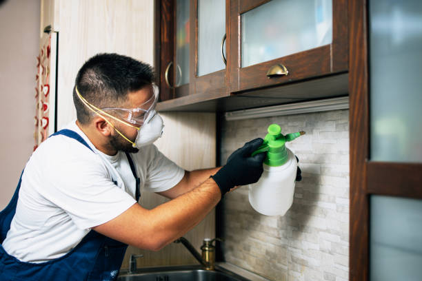 Flea Control Services in Waukesha, WI