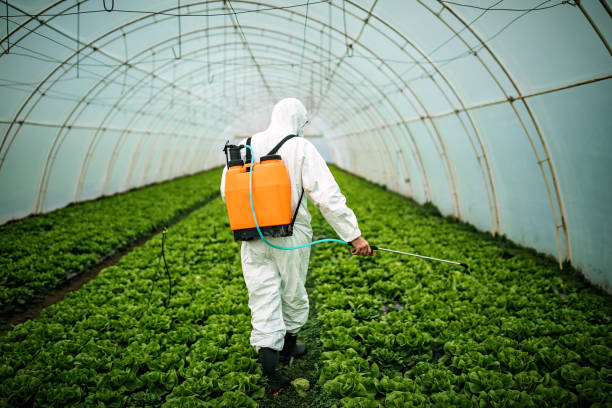 Best Affordable Pest Control Services  in Waukesha, WI