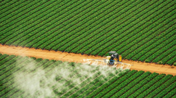 Best Pest Removal Services  in Waukesha, WI