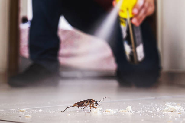 Best Best Pest Control Companies  in Waukesha, WI