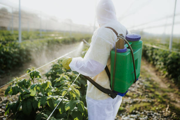 Best Emergency Pest Control  in Waukesha, WI